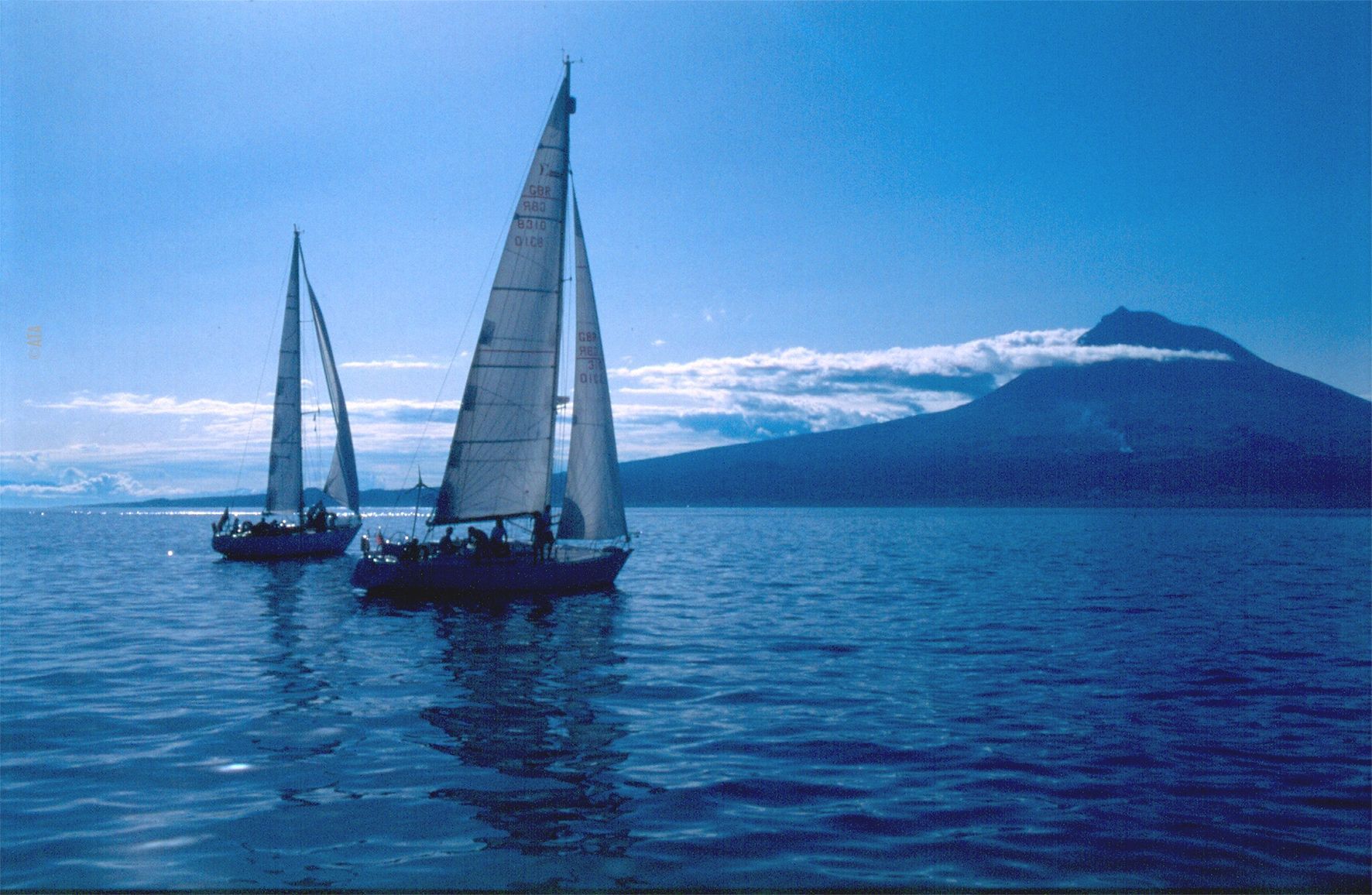 Festa do Magusto - St. Martin - Visit Faial, the best destination of the  Azores